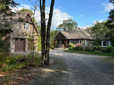 Maison à vendre avec terrain de 13acres Image# 6