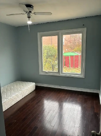 Main Floor Room for Rent (Female) from Dec/Jan in Scarborough Image# 1