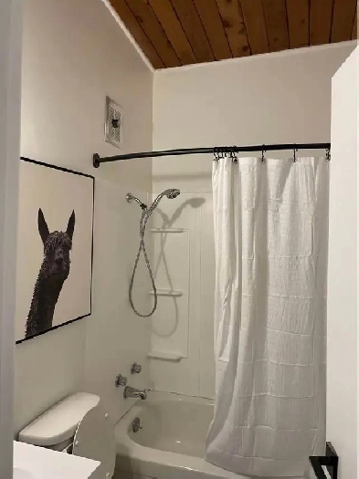 Beautiful, newly renovated 1 Bedroom Apartment! Image# 1