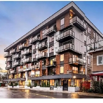 $2,600 · Spacious 2024-built 2 Bedroom, 1 Bath with 2 Balconies Image# 5