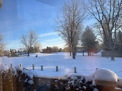 Wanted Lethbridge private sale Image# 1