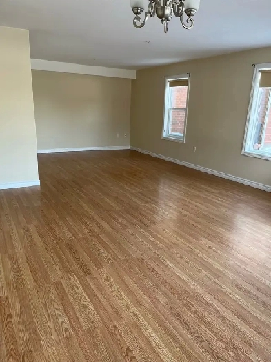 Spacious two bed one bath apartment for rent February 1 Image# 3