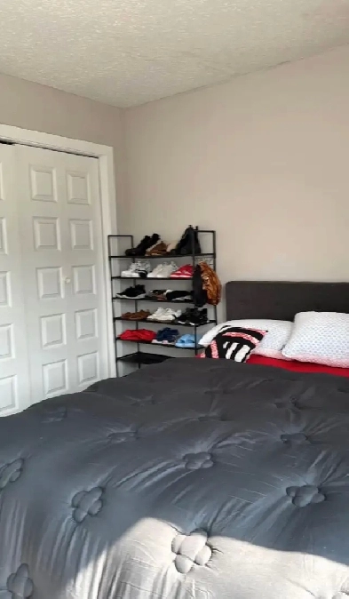 a private room for rent Image# 3