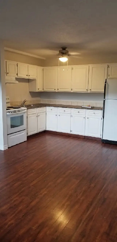 COZY - QUIET - PET FRIENDLY Image# 5