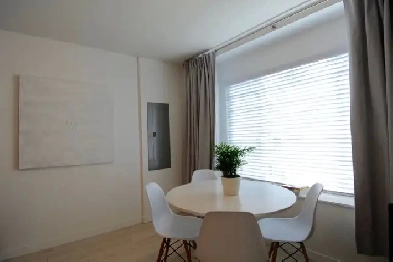 1 Furnished private BR in a spacious 2BR suite, Joyce Station Image# 7