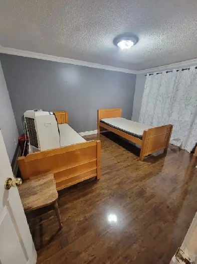 Room available for girl Image# 1