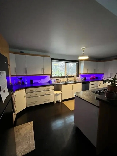 Women ONLY - room for rent Image# 2