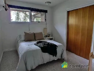 Room for rent Image# 2