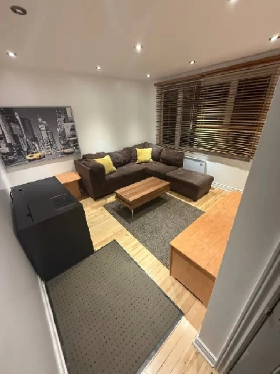 Grand 3 1/2 à louer à Lemoyne entièrement meublé! Image# 8