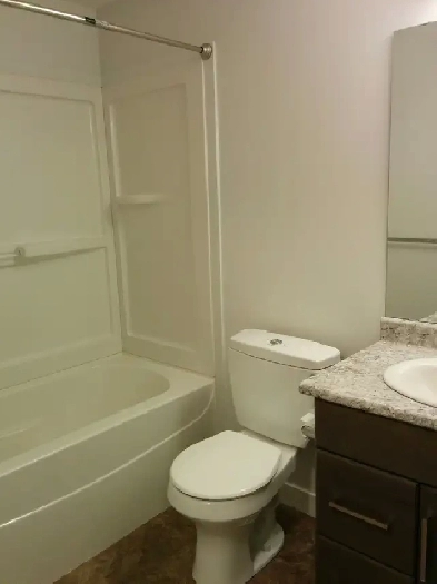 One Bedroom Basement Suite For Rent 1st January In Stonebridg Image# 3