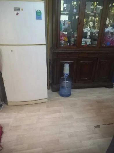 Room for Rent - UofC SAIT University station LRT =student studio Image# 2