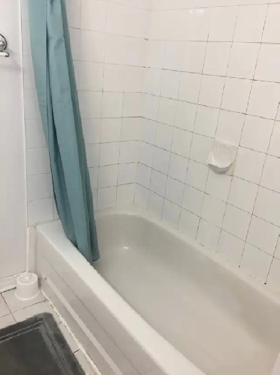 Bright Master Bedroom Near OTrain Plaza  Carleton USouthkey