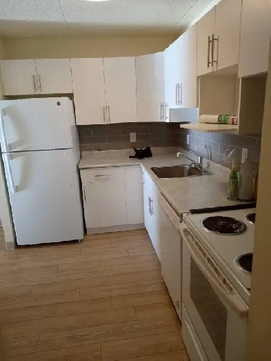 3 bedroom $1410, Move in now! Image# 2