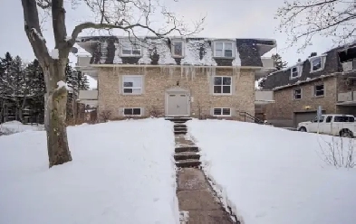 3 bedrooms available in 4bed apartment