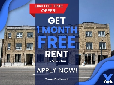 One Bedroom Downtown Spacious Apartment for Rent! York & Talbot Image# 3