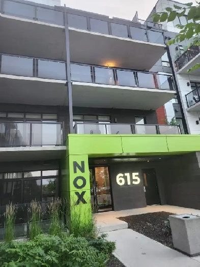 One bedroom, one bath. $1549/month. First month free. Image# 2