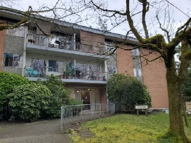 1 Bedroom Apt Available Jan 1st. Near Edmonds and Kingsway Image# 3