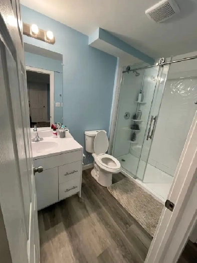 Room Available for Sharing in Basement Image# 2