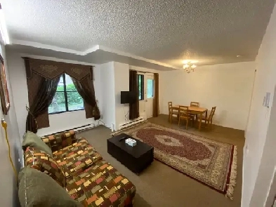 Furnished and big 3 1/2 apartment (downtown area) - app meublé Image# 3