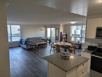 Room Available in lovely Downtown-Kitchener apartment: May 2026 Image# 5