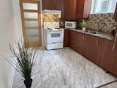 Rosemont 12e av. et St-Zotique ! 10 min métro St-Michel! Image# 2