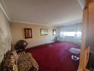 Grand 6 ½  rénové à louer rue d'Iberville Image# 3