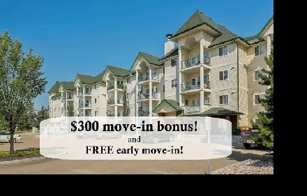 NE Edmonton 1-Bedroom Condo utilities parking included 18  condo Image# 6
