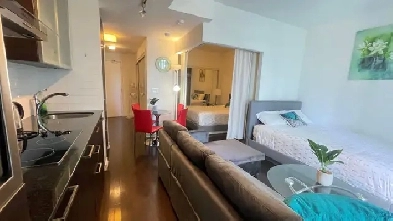 full furnished condo downtown close to Union Station Image# 4