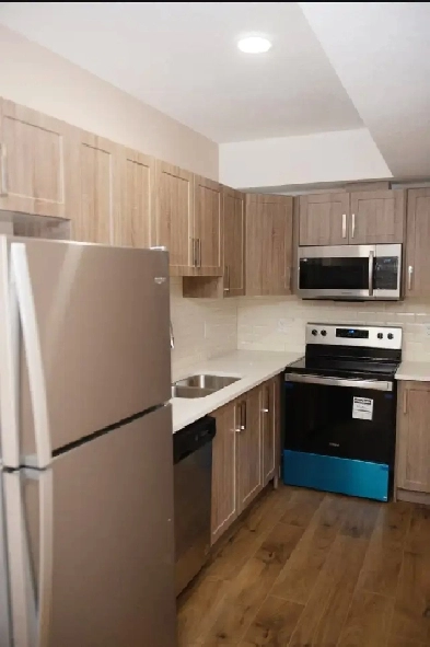 Legal Basement Suite in Chappelle SW Image# 4