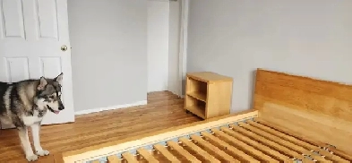 Chambres à louer Image# 1