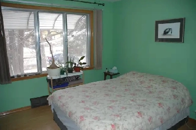 TWO BEDROOMS Image# 2