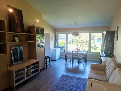 Cozy room rent on North York Image# 5