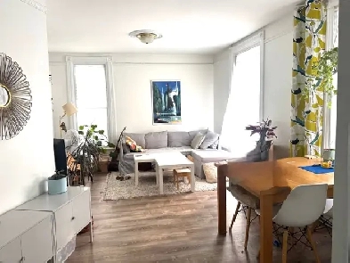 Grand 4½ RDC à PSC, dans le Sud-Ouest pour le 1er janvier. Image# 12