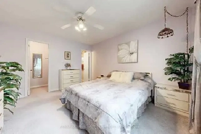 Spacious Apartment for Rent in Hamilton. Image# 1