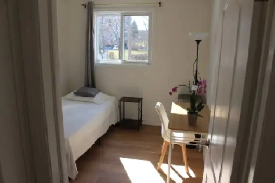 two rooms for rent Image# 6