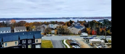 FREE MONTHS RENT BONUS - Bachelor/Studio Image# 3