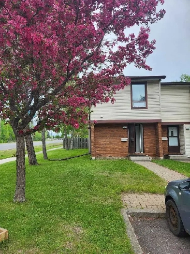 Room in a house for rent in Thunder Bay, Ontario Image# 1