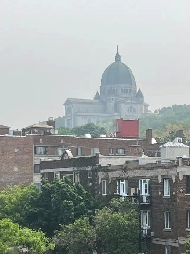 Chambre près de l'UdM Image# 2