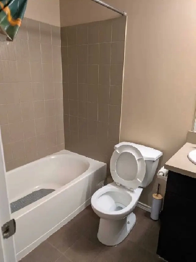 Female roommate wanted I'm condo in saddletowne Image# 6