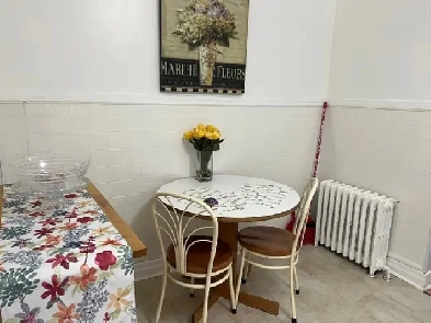 Central Location Fully Furnished One Bedroom Apt for Rent Image# 5