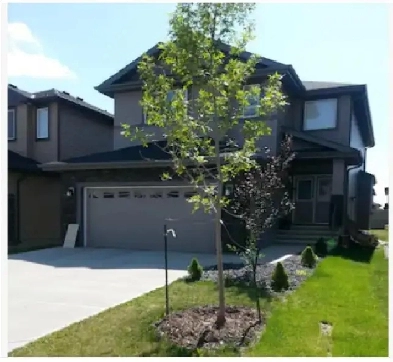 2 Excutive Bedroom for Rent in Chappelle Edmonton SW. Image# 5