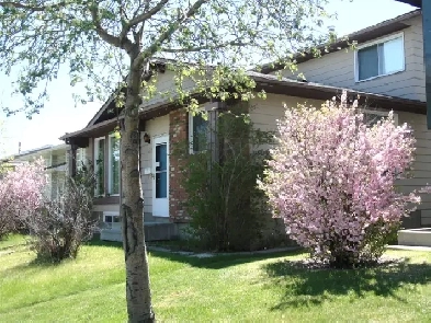 Room near Rundle C Train NE and Mall