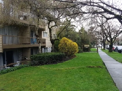 Large One Bed near Marpole Loop Available Jan 1st,2026 or ealy Image# 7
