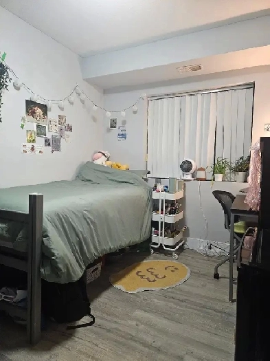 Waterloo Winter 2026/Spring 2026 Sublet Image# 3