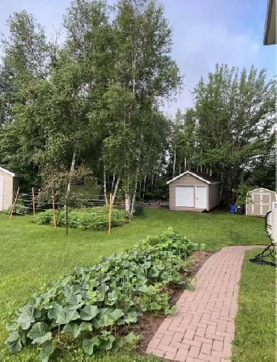 Beautiful 1 bedroom apartment for rent Image# 8