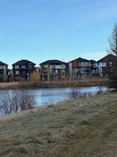 Beautiful 2-Bedroom Garden Suite for Rent Image# 6