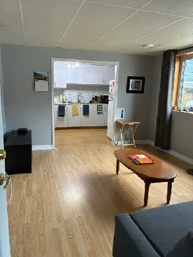 1 BEDROOM APARTMENT FOR RENT Image# 4