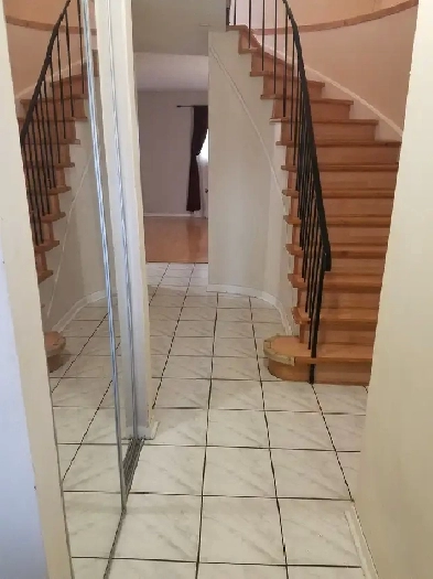 Rooms for rent near Humber College North Campus - NOW AVAILABLE! Image# 7