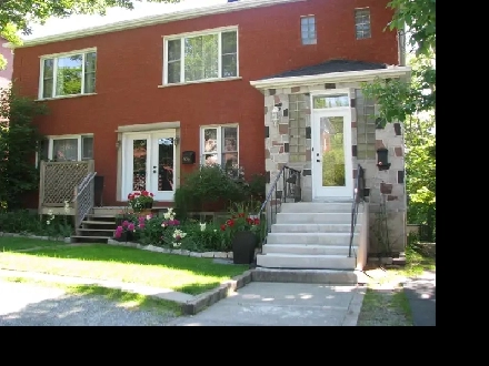 6 1/2 - VIEUX NORD - OCCUPATION IMMEDIATE Image# 6