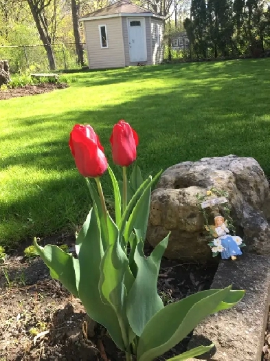 A beautiful bedroom & parking near UTM for rent Image# 2